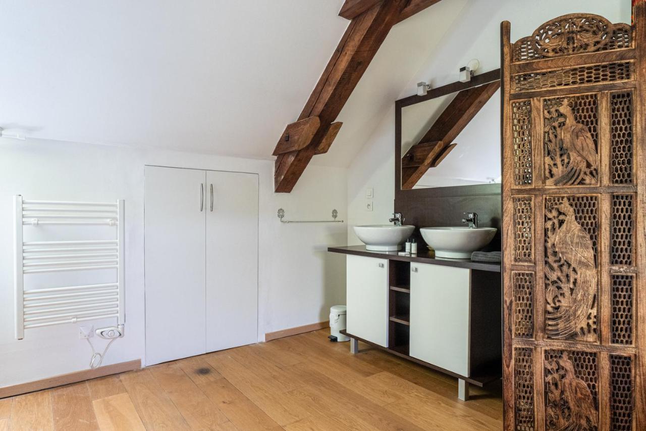 Carnot Duplex, Spacieux 3 Pieces Avec 2 Chambres Sur Les Rue Pietonnes アヌシー エクステリア 写真