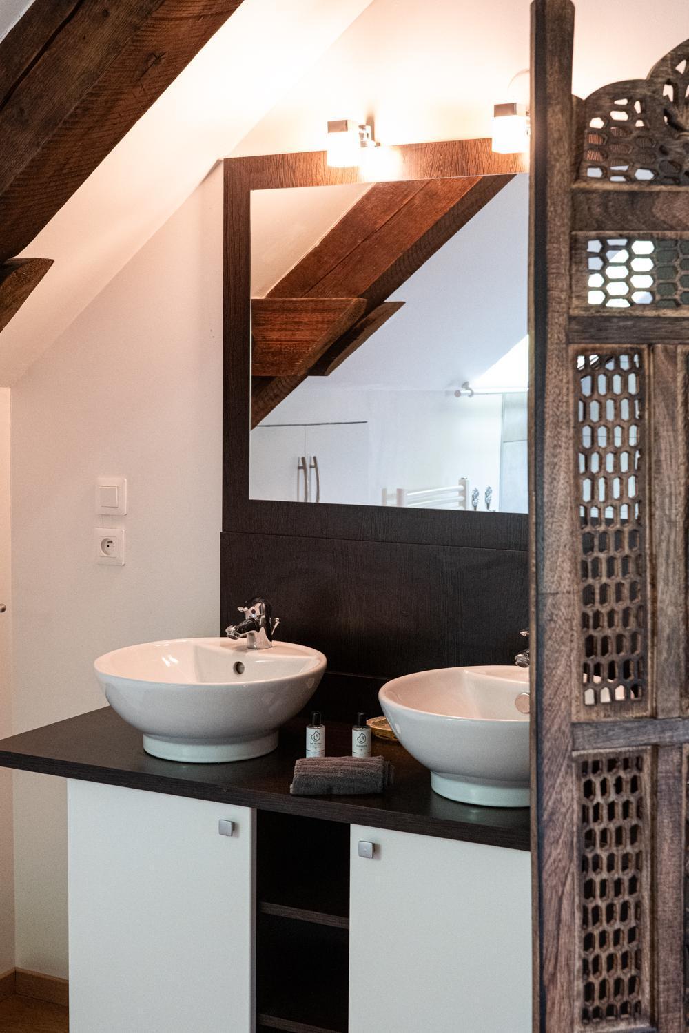 Carnot Duplex, Spacieux 3 Pieces Avec 2 Chambres Sur Les Rue Pietonnes アヌシー エクステリア 写真