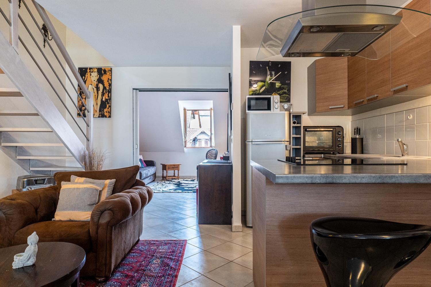 Carnot Duplex, Spacieux 3 Pieces Avec 2 Chambres Sur Les Rue Pietonnes アヌシー エクステリア 写真